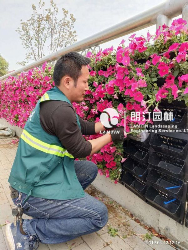 科技助力花园城市建设 北京园林绿化科技活动周启动