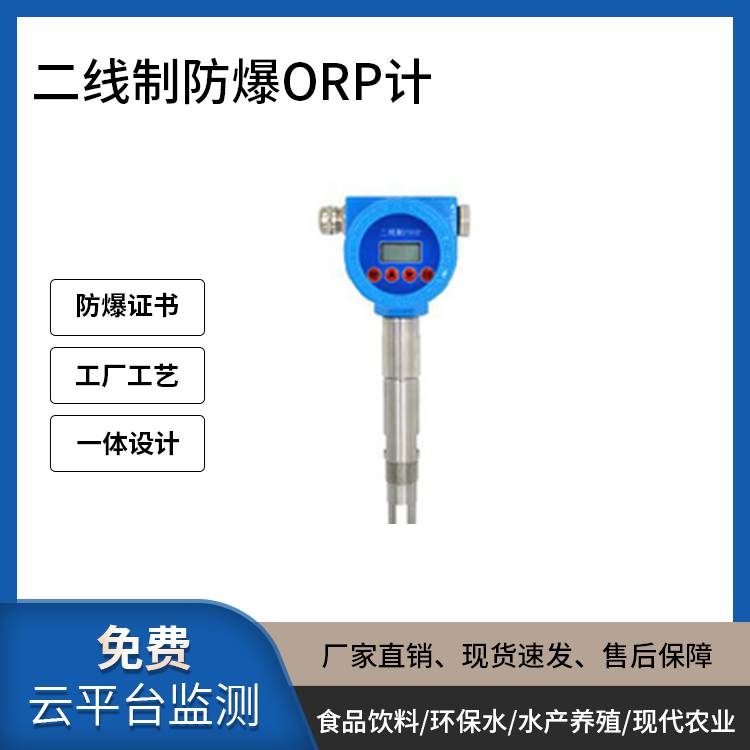 防爆PH计|CT6防爆认证|多种安装方式|源头厂家|稳定易用