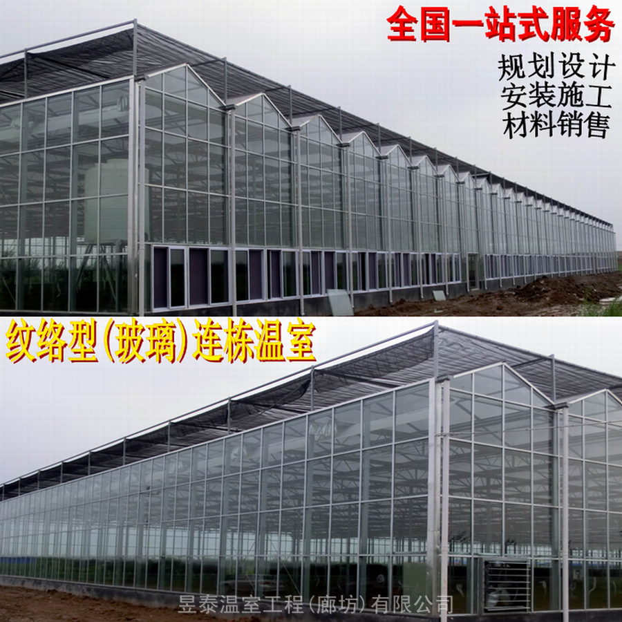 新型智能大棚连栋玻璃温室设计建造