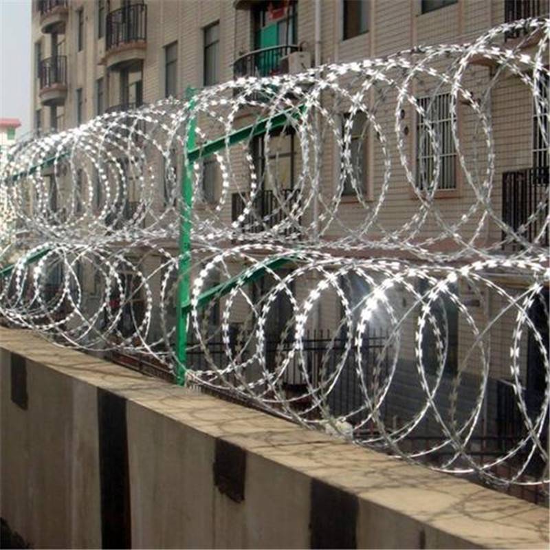 闽粤两省联动法律维护接壤水域渔业生产秩序