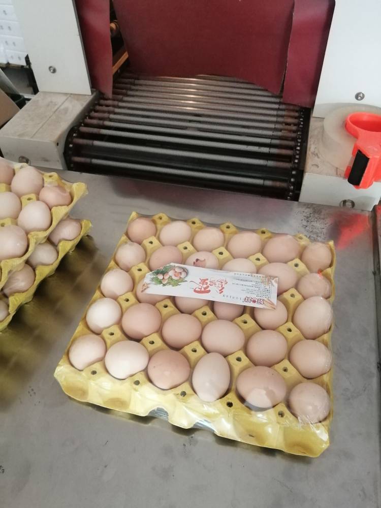 众翔供应社区平台配送鸡蛋套膜包装机丨30枚蛋托自动收缩包装机