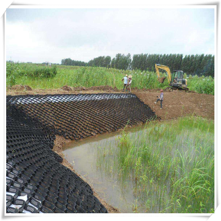 填土种植绿化蜂巢网格鱼塘养殖固土土工格室厂家定做