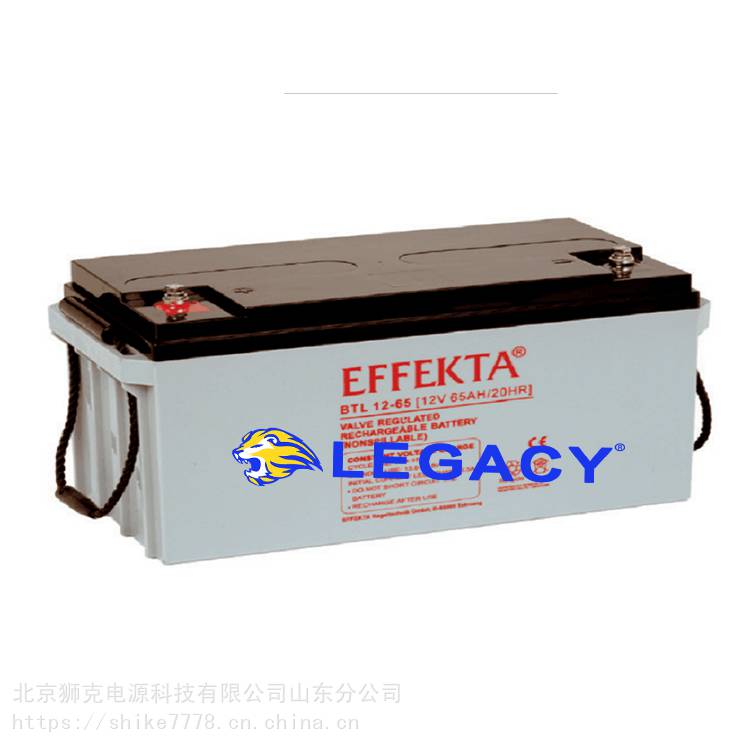 德国EFFEKTA蓄电池BTL12-4512V45AH通讯消防医疗设备