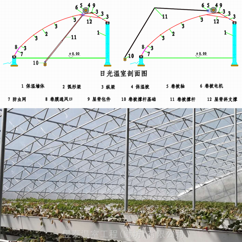 日光温室大棚双膜骨架大棚薄膜大棚蔬菜种植暖棚昱泰温室设计生产施工