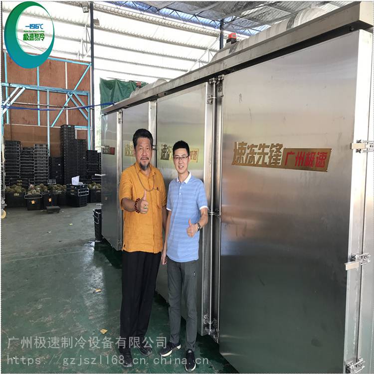 广州 海鲜液氮速冻机定制 比目鱼切片液氮速冻机 连续式海参液氮速冻机 较速制冷