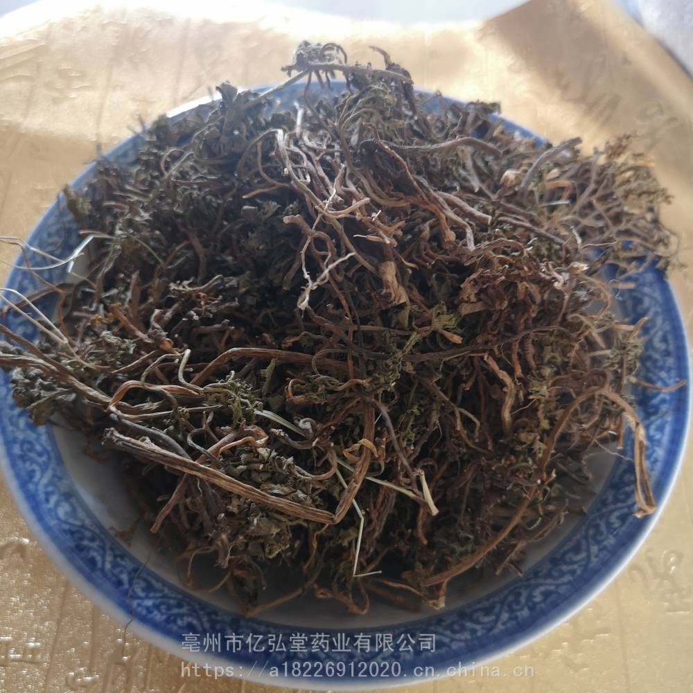 中药材小春花功效作用 一朵云,花蕨,独立金鸡,阴地蕨,独脚蒿,背蛇生