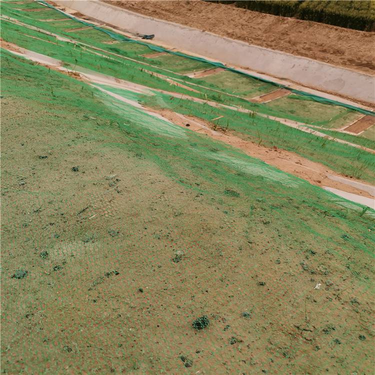绿色拉伸2层3层4层5层三维网河堤防止水土流失固土网拓林定制