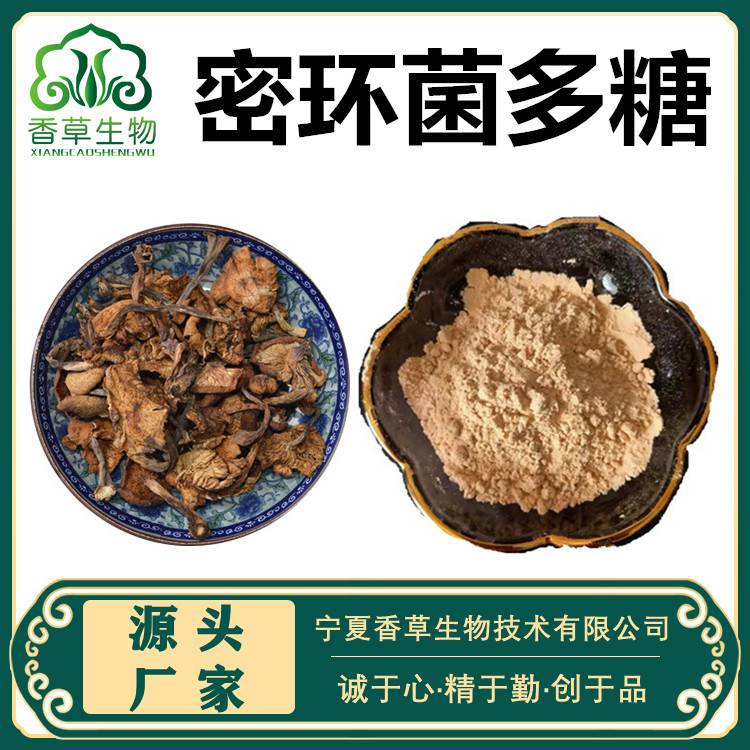 密环菌多糖30密环菌粉密环菌浸膏粉100目密环菌提取液