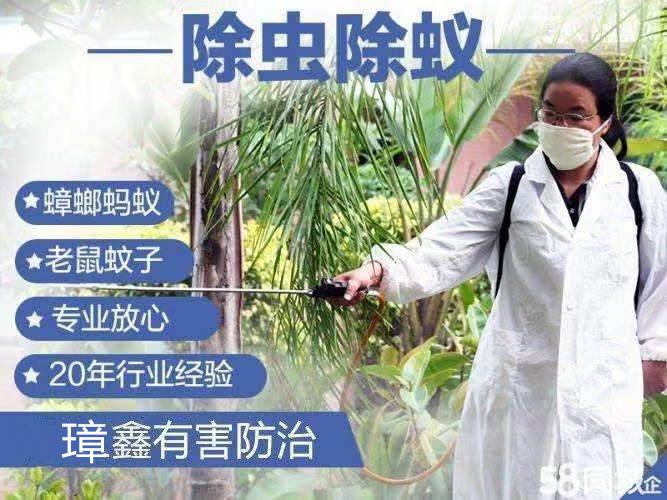 正规除虫灭蟑螂公司上海除四害灭蚊虫除各类虫害服务