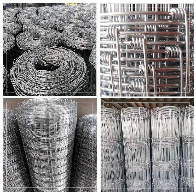 热镀锌钢丝养牛网养鹿网锌钢护栏网荷兰网出口品质