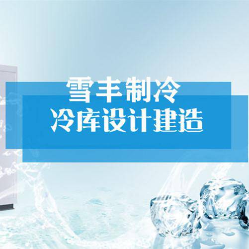广西雪丰制冷设备安装工程有限公司