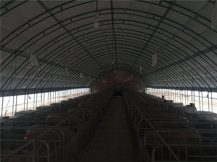比养鸡养鸭赚钱一晚上收入500多的小生意不宝博体育- 宝博体育官网- 宝博体育APP下载 BaoBoSports需要门面也能干