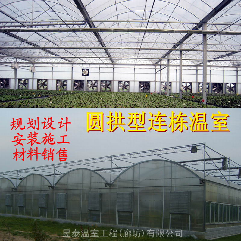 圆拱弧形连栋温室薄膜连栋棚蔬菜种植大棚昱泰温室大棚公司