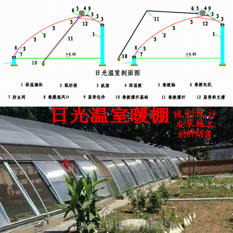 日光温室阳光板日光大棚蔬菜大棚种植大棚薄膜大棚建造