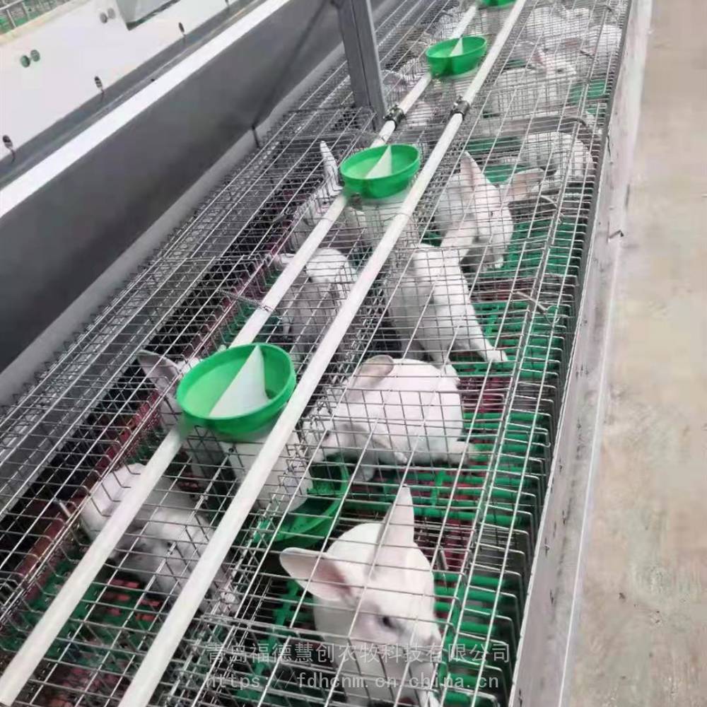 养殖兔笼具双层后备笼36笼位厂家供货