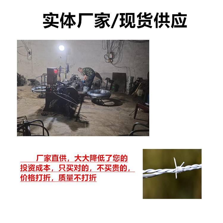 刺铁丝防盗网刺铁丝防盗网作用刺铁丝防盗网