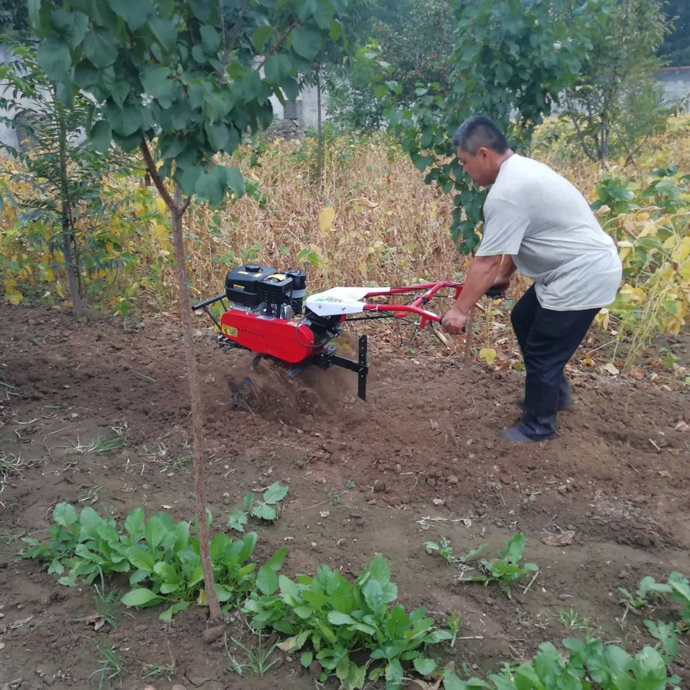 【大馬力自走式旋耕機果園大棚鬆土除草機 多效汽油微耕機】圖片