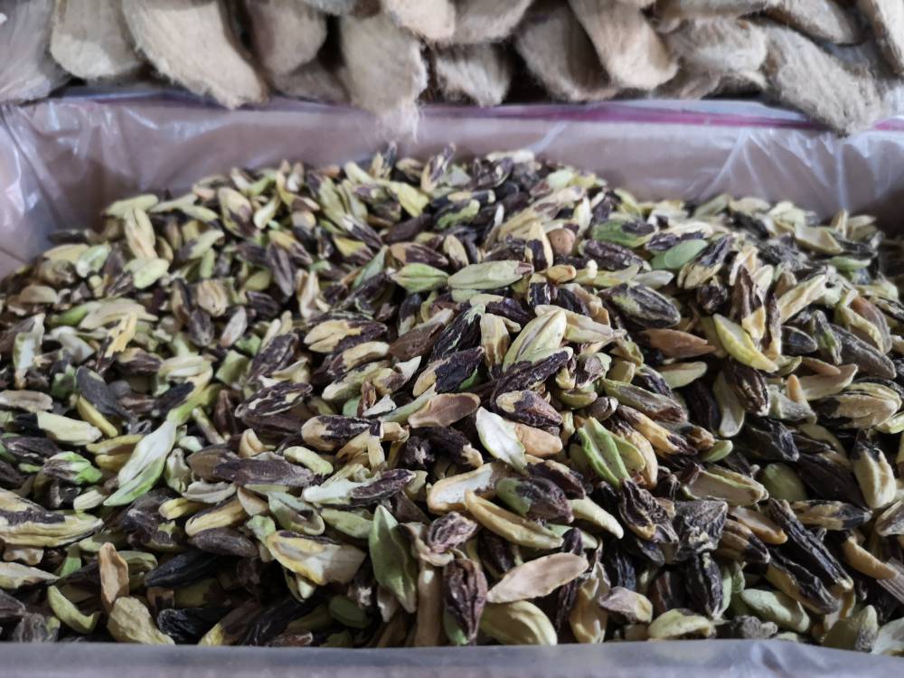 野生使君子仁价格多少钱一斤