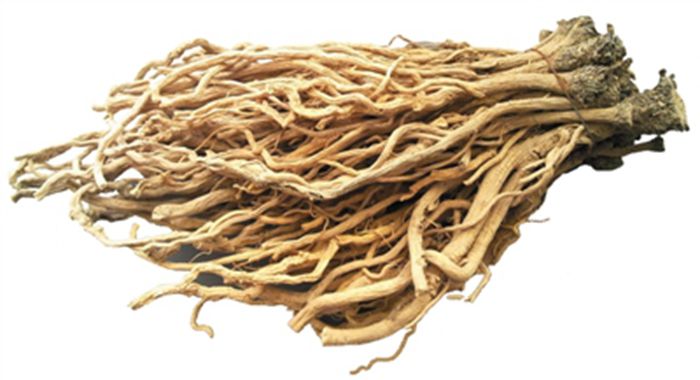 板蓝根什么时间种 板蓝根什么时候种 抗病耐寒 优质