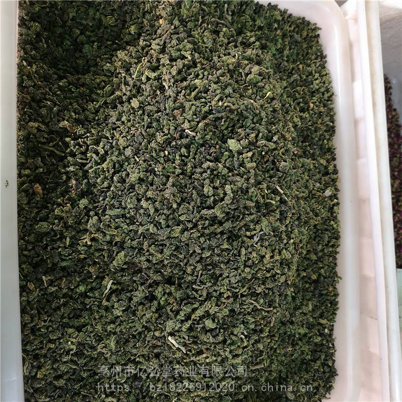 正宗桑叶茶产地直销 桑叶茶品质可靠