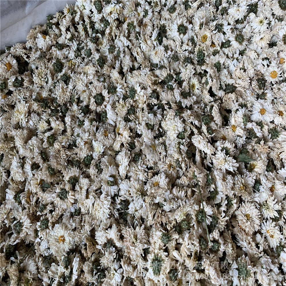 中药材杭白菊的药用价值 毫菊用法用量 贡菊价格多少