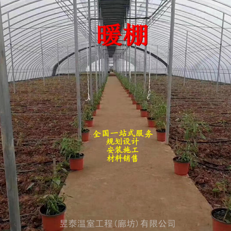 暖棚薄膜大棚蔬菜大棚日光温室大棚椭圆管大棚昱泰温室公司建设