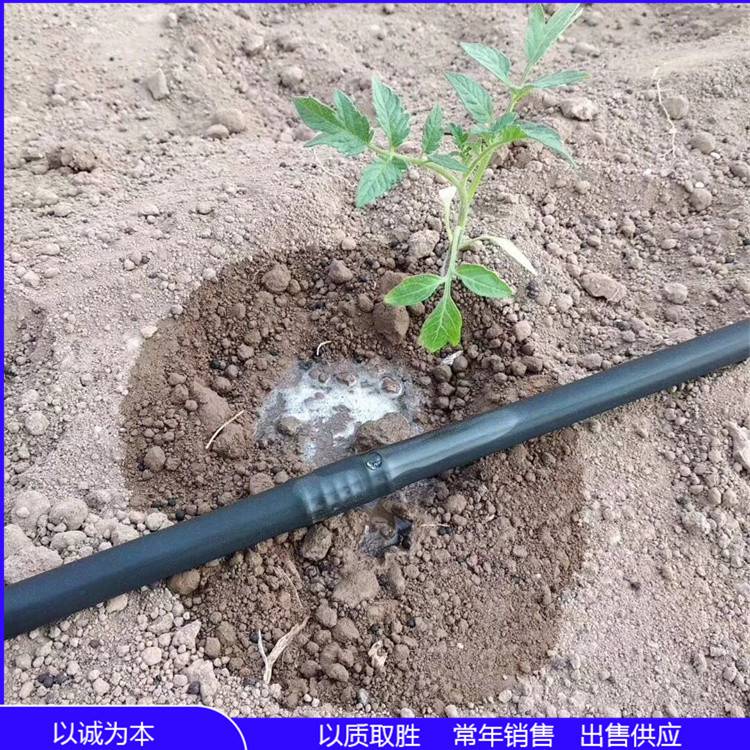 贴片式滴灌带局部灌溉工具滴孔间距10cm使用方便