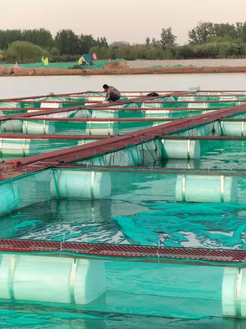 方形钢架养鱼网箱6米x6米养鱼设备养殖箱批发