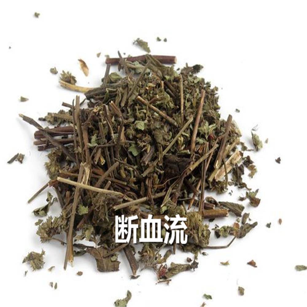 中药材断血流用法用量漫胆草药理作用荫风轮药用效果