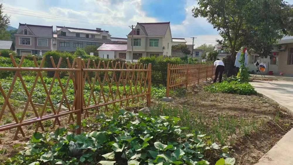 来宾武宣竹篱笆防腐竹围栏竹篱笆仿竹栅栏