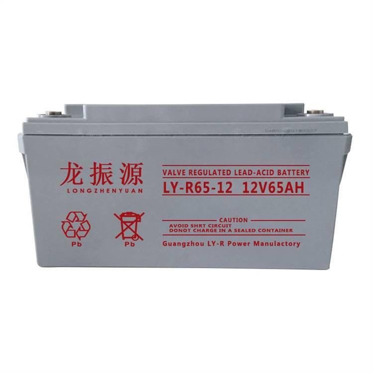 龙振源蓄电池LY-R200-1212V200AH高压配电柜用机房UPS/EPS电源