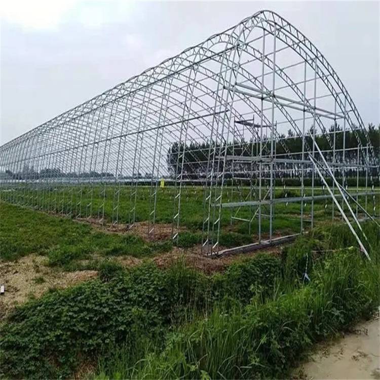 桂林临桂中科ZKLG-03养殖种植蔬菜大棚连栋骨架温室防风抗雪