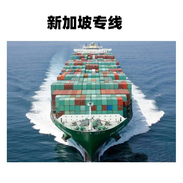 国际货物集运门到门新加坡海运专线整柜or散货一步到位