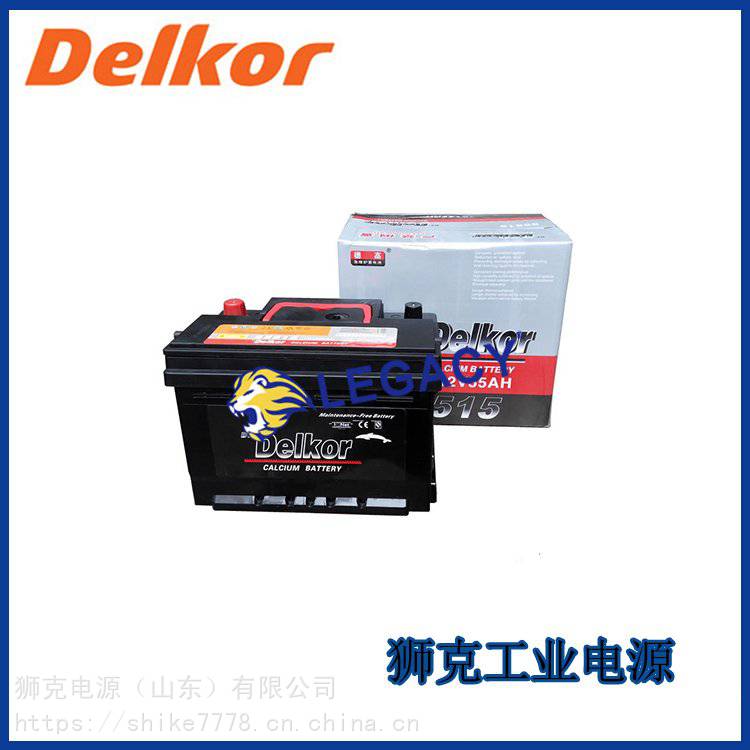 韩国DELKOR蓄电池DF200照明直流屏12V200AH太阳能动力电瓶