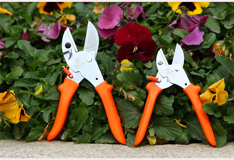 花剪园林园艺剪剪枝剪刀修剪树枝果树剪子修花枝剪修枝剪粗枝省力