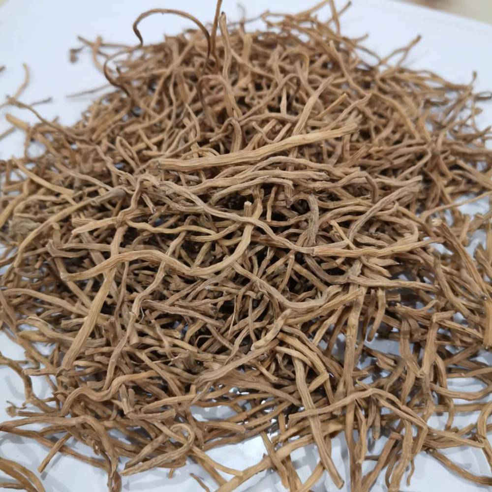 玉簪花根批发_亳州市玉簪花根批发价格