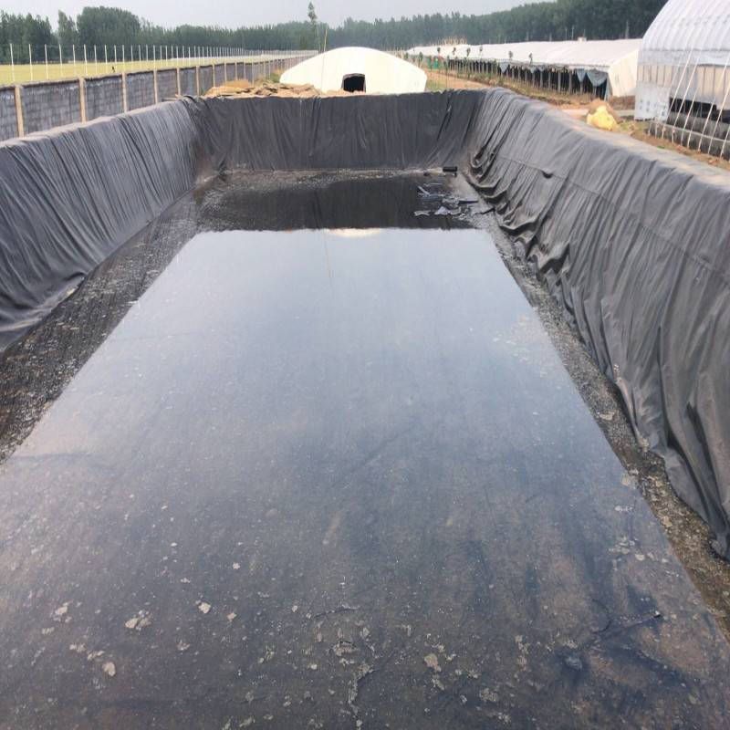 阜阳市养殖污水池专用黑膜、化粪池铺底塑料膜生产厂家在哪