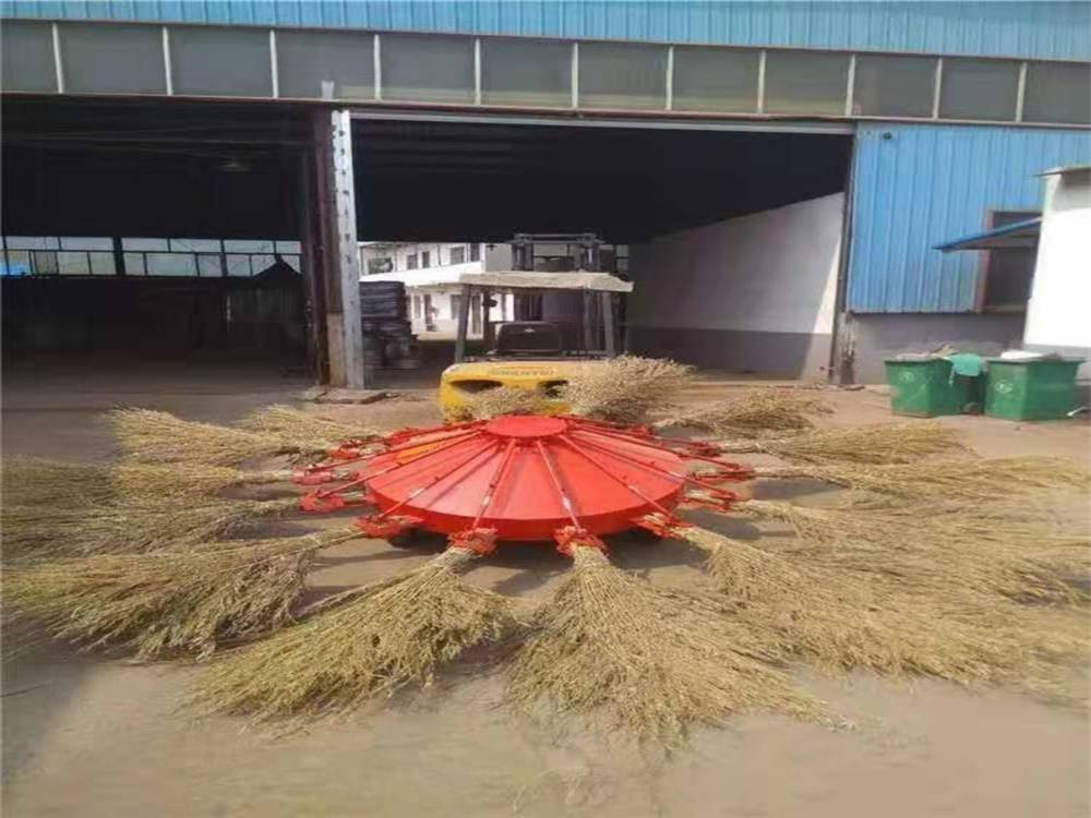 湖南千手观音 扫路车 图片