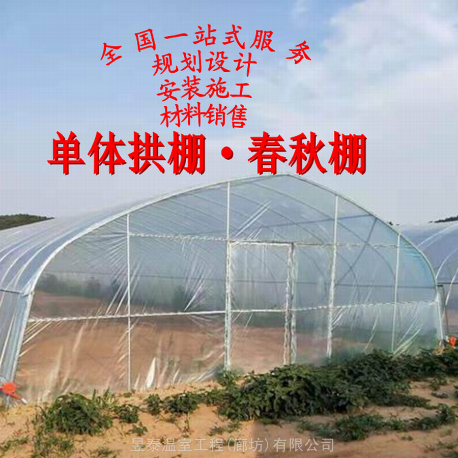 新型蔬菜大棚拱棚春秋棚插地棚设计建造昱泰温室大棚厂家