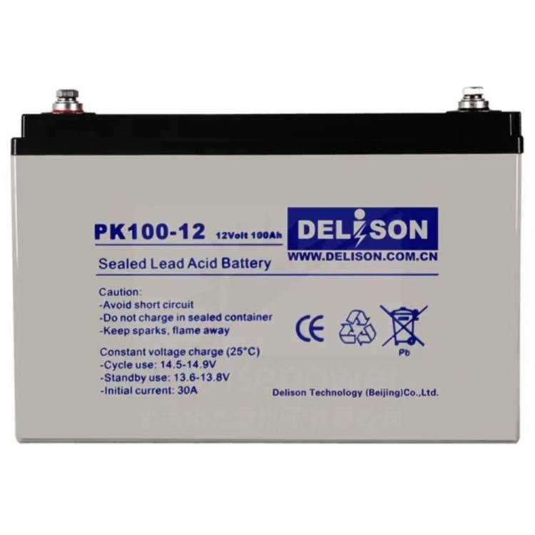 DELISON蓄电池PK100-1212V100AH高压配电房用直流屏电源柜用