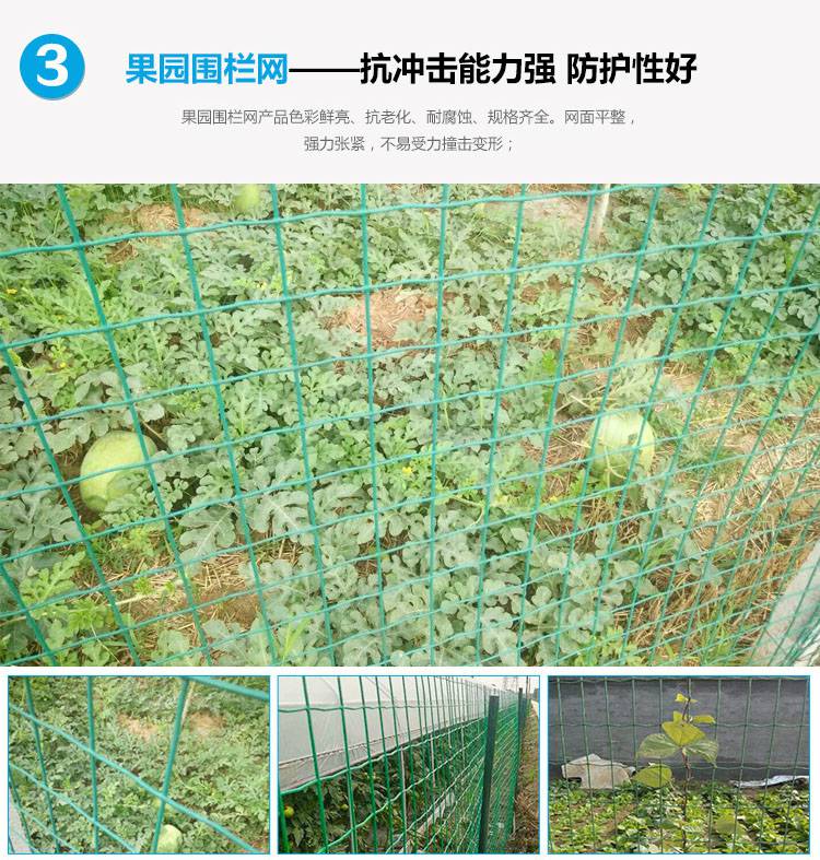 cx超兴厂家直销果园防护网农业种植铁丝网林地圈地铁丝