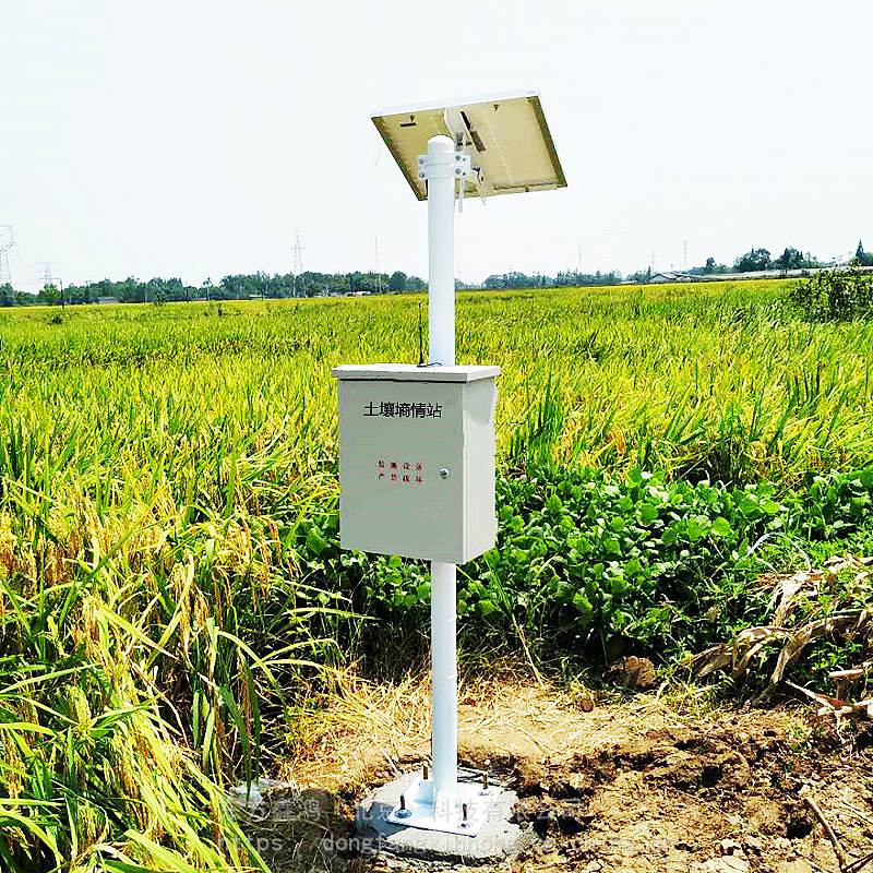 DF-TYZ土壤环境监测系统土壤养分在线监测系统东方鑫鸿