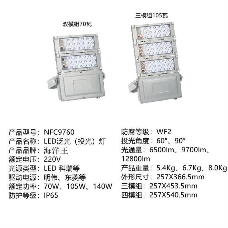 尚为LP6510-100w户外LED防震模组投光灯防水防尘防