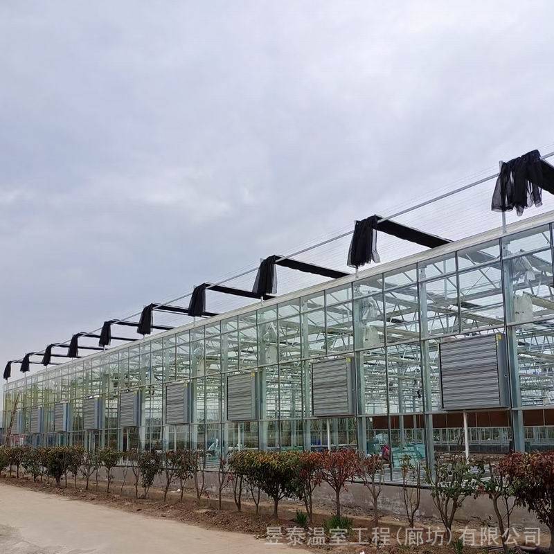 昱泰智能连栋蔬菜花卉种植大棚玻璃阳光板温室YTWSWL0146