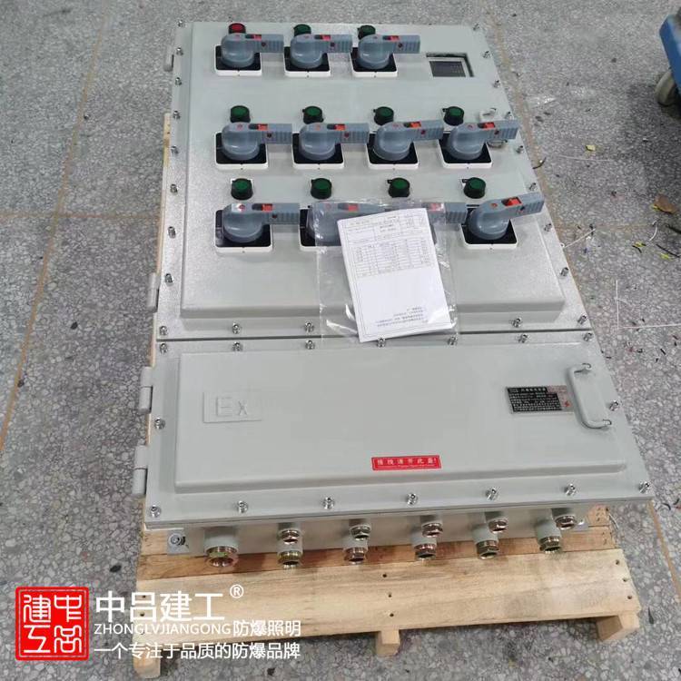 食品厂上海防爆照明配电箱电子电工500*600*250防爆箱