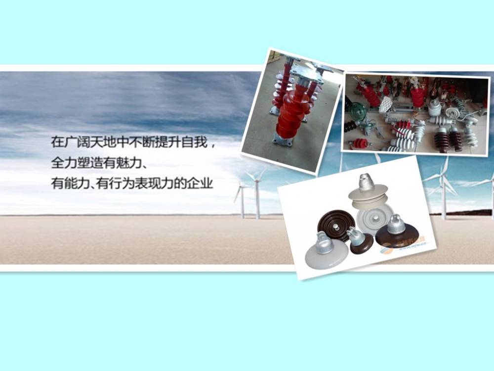 河間市浩康電氣有限公司