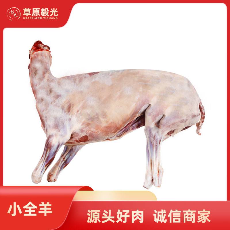 全羊16-32斤整只肉新鲜冰冻食用烧烤家用商用毅光草原羊肉食
