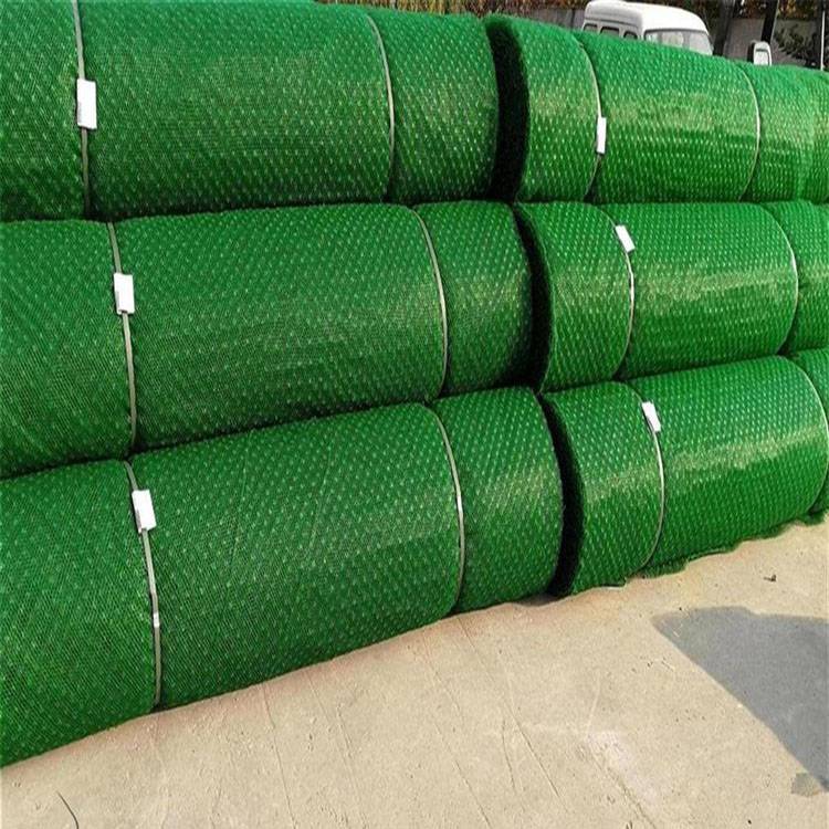 生产定制边坡防护用三维土工网垫EM3层260克植草用绿化网