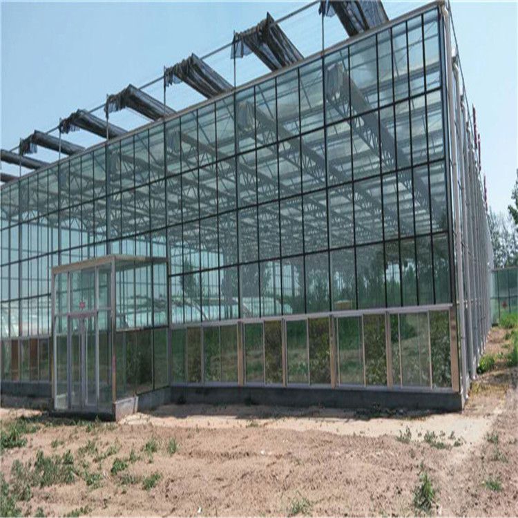 好消息玻璃温室使用方法厂家