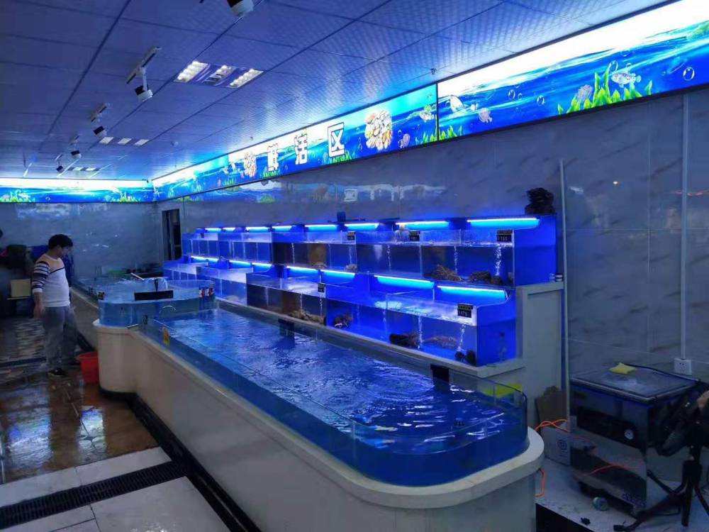 广州从化海鲜池冷水机功率大小是怎么算的-酒店海鲜池设计